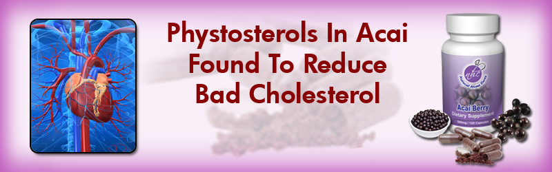 Natural Home Cures Freeze Dried Acai Berry May Help In Reversing High Cholesterol Natural Home Cures Freeze Dried Acai Berry May Help In Reversing High Cholesterol