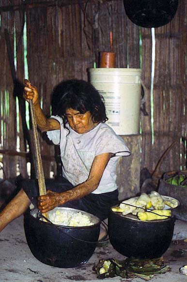 Shuar/Uwishin Medicine Men Shuar/Uwishin Medicine Men