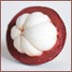 Mangosteen Origins