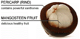 Natural Home Cures Freeze Dried Rich Pericarp Mangosteen Natural Home Cures Freeze Dried Rich Pericarp Mangosteen
